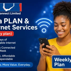 WEEKLY PLAN